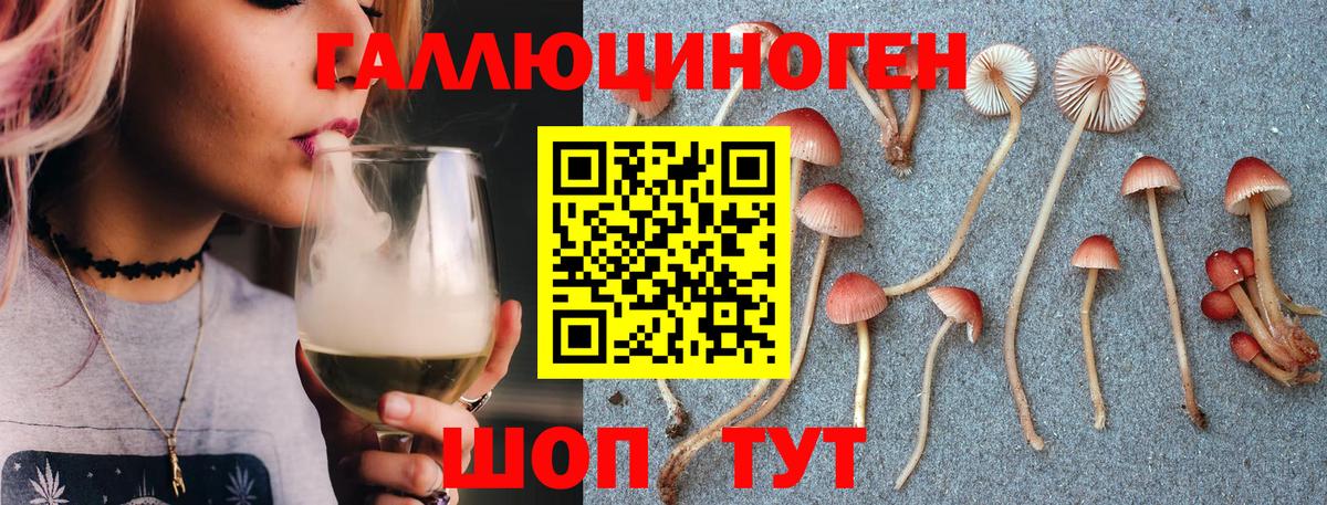 Псилоцибиновые грибы Magic Shrooms Гатчина