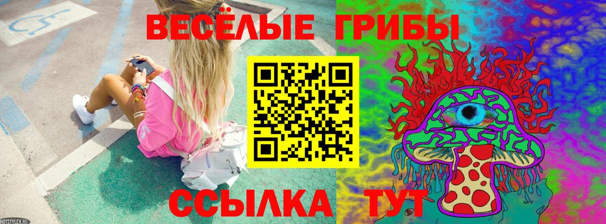 Гатчина  Псилоцибиновые грибы Psilocybe  Вход с VPN 